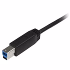 Immagine di Cavo USB-C a usb-b - m/m - cavo us