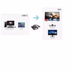 Immagine di Cavo USB tipo c to dvi f 4K 2k 30hz