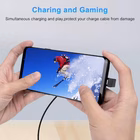 Immagine di USB-C u plug adapter 10Gbps pd 10