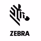 Immagine di Accessori Stampanti Termiche Barcode, Ricevute, Card ZEBRA KIT 203DPI PRINTHEAD P1105147-300