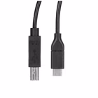 Immagine di Startech USB c to USB b printer cable - 10 ft / 3m - USB c printer cable - USB c to USB b cable - us