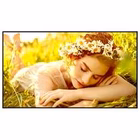 Immagine di Monitor digital signage LG 43UL5Q-M 43" 4K UHD 500 nit 24/8