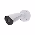 Immagine di Telecamera ip AXIS 02945-001
