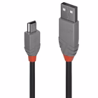 Immagine di Cavo USB 2.0 tipo a mini-b 2m