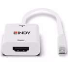 Immagine di Converter mini dp 1.2 a HDMI