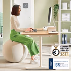 Immagine di Palla da seduta LEITZ ERGO ACTIVE anti rotolamentodiametro cm 55 colore grigio chiaro