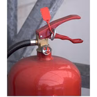 Immagine di Sigillo di sicurezza TWIGGYSEAL cm 21 rosso