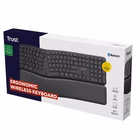 Immagine di TRUST TASTIERA ERGONOMICA CERTIFICATA ERGOCERT WIRELES 25459