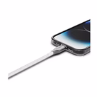 Immagine di Lightning to USB 2mt wh