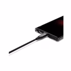 Immagine di USB-C to USB 2mt bk