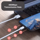 Immagine di USB 2.0 cable, USB male 0,3mt