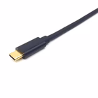 Immagine di USB-C to displayport cable m/m 2.