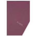 Immagine di Fg40 ecoqua pm a4 blank vino