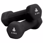 Immagine di Fitpaddy dumbbell 0.5 kg 2 pcs