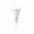 Immagine di Lampadina led emergenza blackout