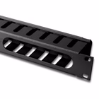 Immagine di 19 rack mount cable management pan