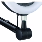 Immagine di Braccio snodato KENSINGTON A1020