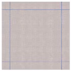 Immagine di Coprimacchia in carta a secco airlaid ROIAL CANOVACCIO 100x100 colore blu 100 pezzi