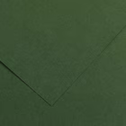 Immagine di Cartoncino canson colorline cm 50x70 g220 verde abete risma da 25 fogli