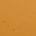 Immagine di Cartoncino canson colorline cm 50x70 g220 cuoio risma da 25 fogli