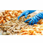 Immagine di Guanti riutilizzabili 100% food in nitrile senza polvere REFLEXX 95 colore blu taglia M - paio