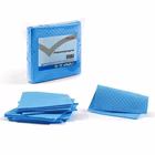 Immagine di Pannospugna VILEDA PROFESSIONAL PROF colore blu