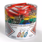 Immagine di Targhette portachiavi con givolare colori ass.