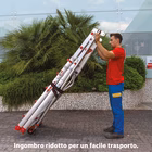 Immagine di Scala professionale con piattaforma FARAONE PLS 5 gradini