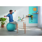 Immagine di Palla da seduta LEITZ ERGO COSY Sitting Ball blu