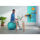 Immagine di Palla da seduta LEITZ ERGO COSY Sitting Ball blu