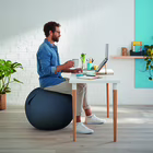 Immagine di Palla da seduta LEITZ ERGO COSY Sitting Ball grigio