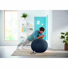 Immagine di Palla da seduta LEITZ ERGO COSY Sitting Ball grigio