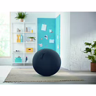 Immagine di Palla da seduta LEITZ ERGO COSY Sitting Ball grigio