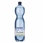 Immagine di Acqua minerale LEVISSIMA bottiglia 100% R-PET frizzante ml 1500