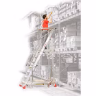 Immagine di Scala a castello FARAONE MFTS 6 gradini