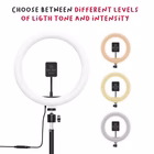 Immagine di Ringlight 10 tripod with mag