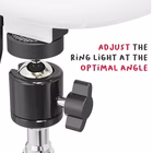 Immagine di Ringlight 10 tripod with mag