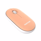 Immagine di PANTONE PANTONE - Mouse Wireless IT COLLECTION PT-MS001E
