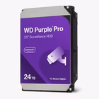 Immagine di WESTERN DIGITAL WD HDD AV WD240PURP