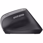 Immagine di TRUST BAYO II MOUSE WIRELESS ERGONOMICO VERTICALE RICARI 25145