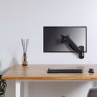 Immagine di 17 -32 single monitor wall-mounted