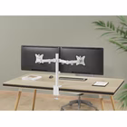 Immagine di 17 -32 articulating dual monitor d