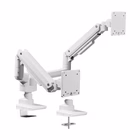 Immagine di 17 -35 heavy-duty dual monitor des