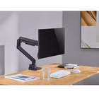 Immagine di 17 -49 heavy-duty monitor desk mou