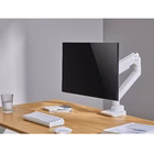 Immagine di 17 -49 heavy-duty monitor desk mou