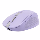 Immagine di TRUST MOUSE WIRELESS RICARICABILE MULTICONNECT BT + WL 2 25384