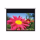 Immagine di Telo per videoproiettori motorizzato 16:10 si 203 cm 126.90000 OPTOMA DE-1095EGA