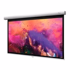 Immagine di Telo per videoproiettori a muro manuale 16:9 no 234 cm OPTOMA DS-9106MGA