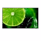 Immagine di Multisync e498q