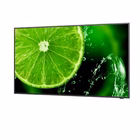 Immagine di Multisync e498q